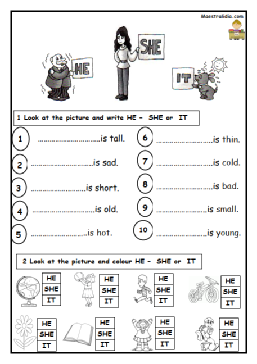 pronomi 16-2-204.pdf